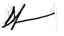 David Lamfrom Signature