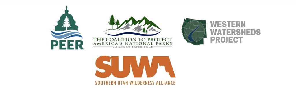 Letterhead Logo